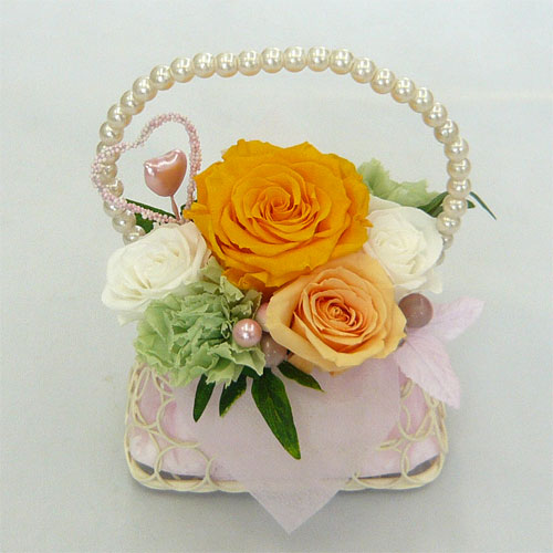 ��t���ԁ@�v���U�[�u�h�t�����[/�p�[���o�b�N�@�I�����W